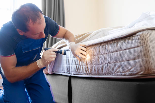 Best Fumigation Services  in Pinckney, MI